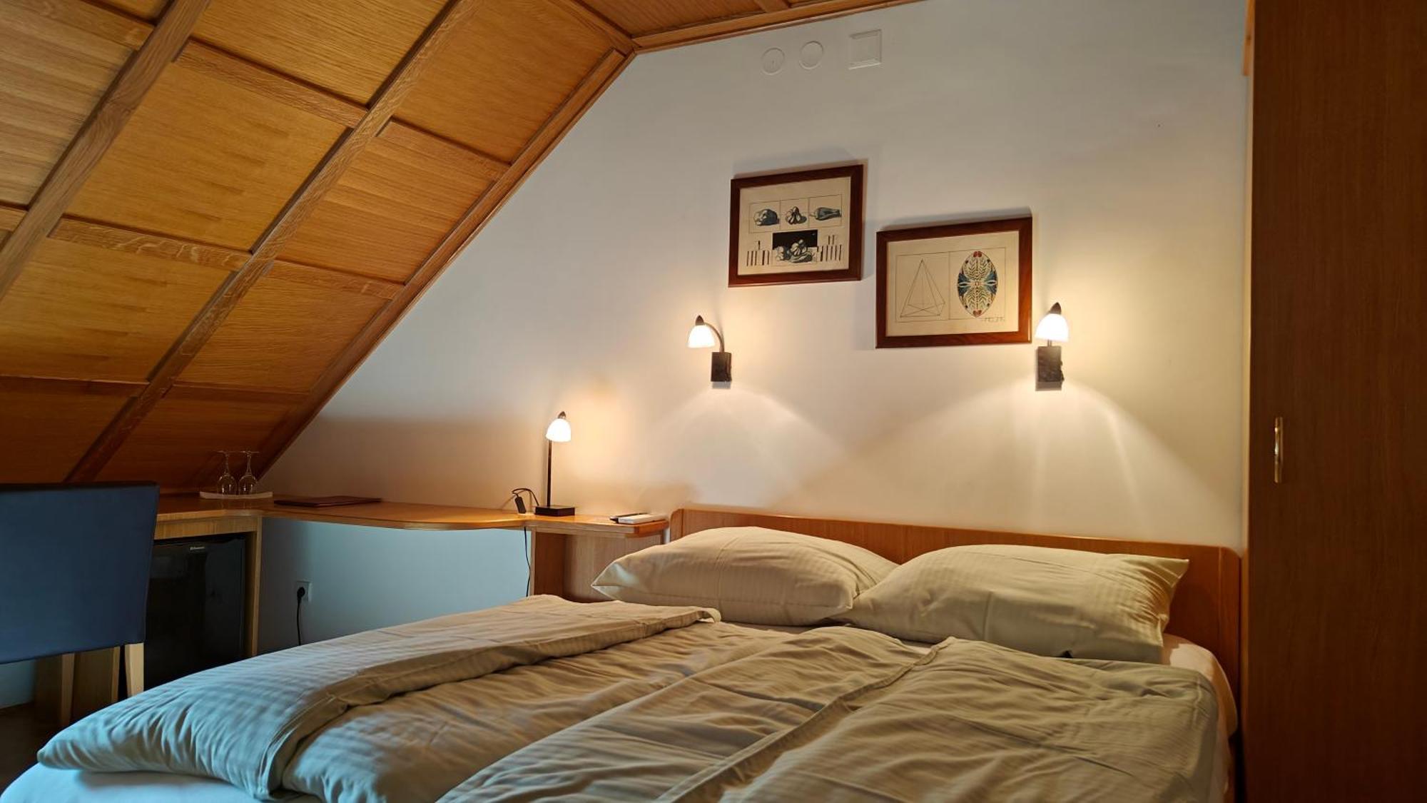 Guesthouse Pri Zalogarju Zelezniki Eksteriør billede
